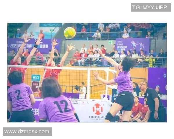 上海排球队的实力分析与未来发展展望探讨