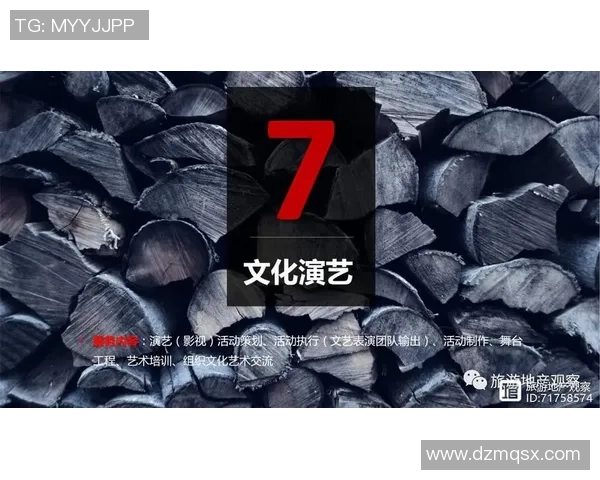 TES转型之路的深度解析与未来展望：从挑战到辉煌的蜕变之旅