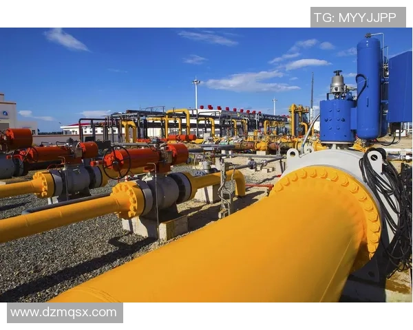 专业分析：液化天然气市场的反击策略与未来发展趋势探讨