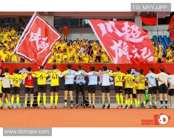 成都足球队意识争议引发热议球迷与专家各抒己见探讨未来发展方向