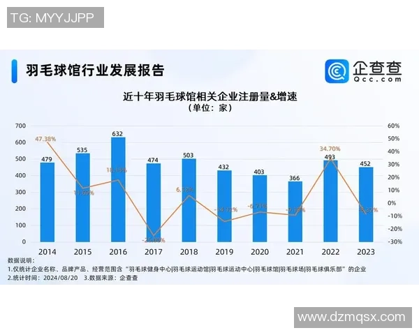 杭州羽毛球队意识表现的数据分析与提升策略探讨