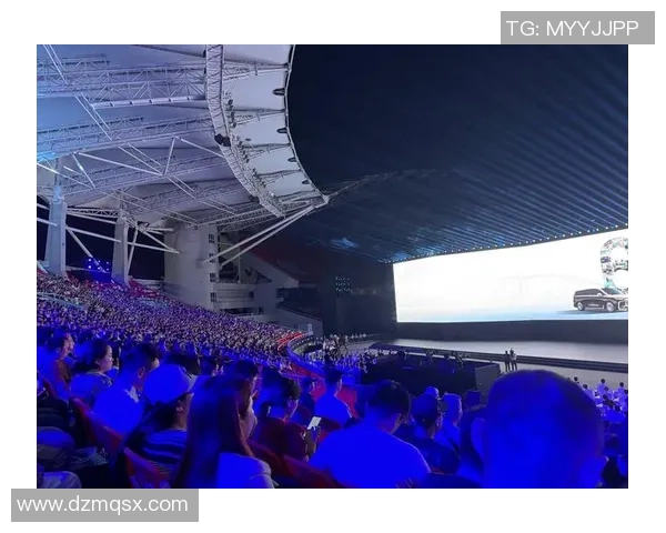 武汉网球队的转型之路与成败得失分析