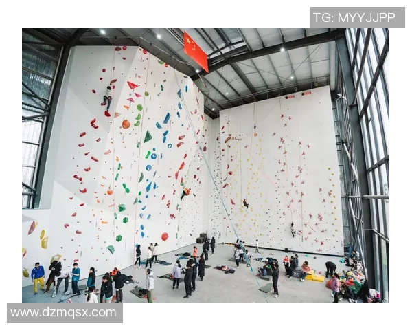 南京攀岩队近期状态全面对比分析及未来发展趋势探讨 南京攀岩队近期状态全面对比分析及未来发展趋势探讨